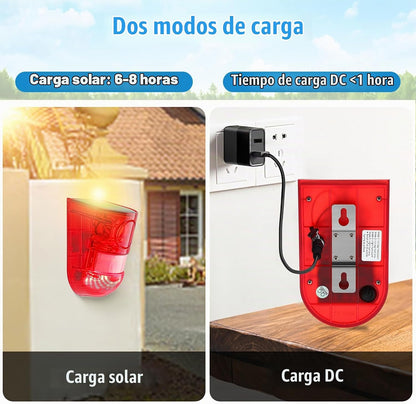 Qualirey Paquete de 12 alarmas con sensor de movimiento solar, luz...
