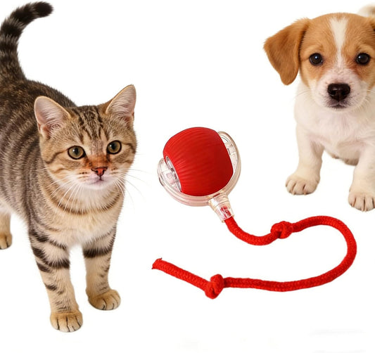 RightBliss Juguete automático de bola rodante para gatos y perros....
