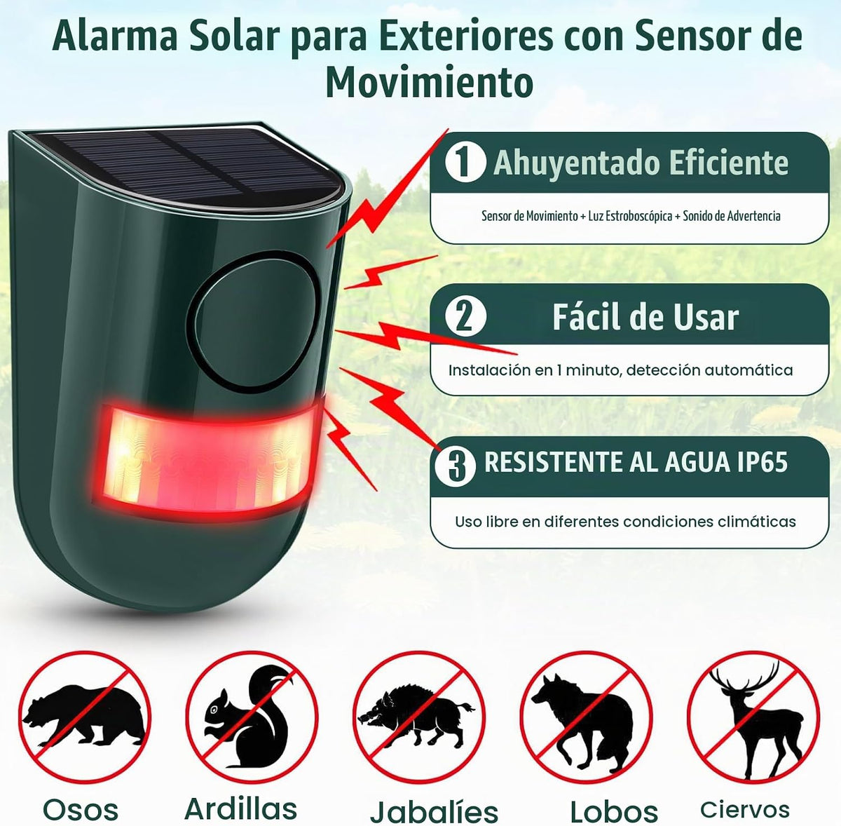 Qualirey Paquete de 6 alarmas con sensor de movimiento solar 129db...
