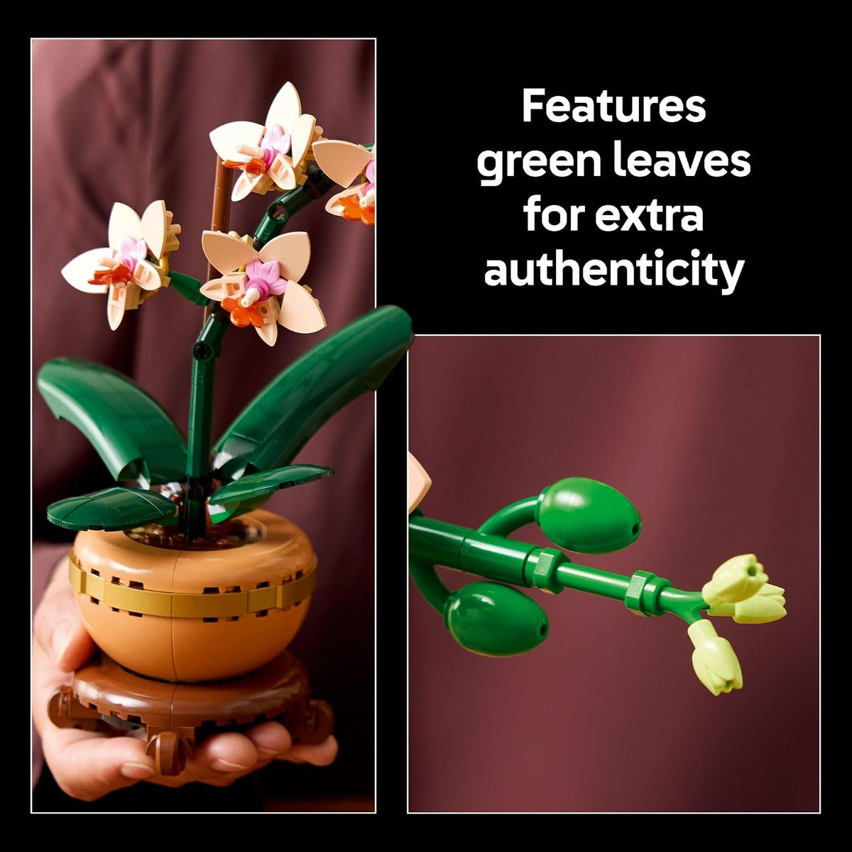 LEGO Botanicals - Juego de construcción de orquídeas pequeñas, arti...