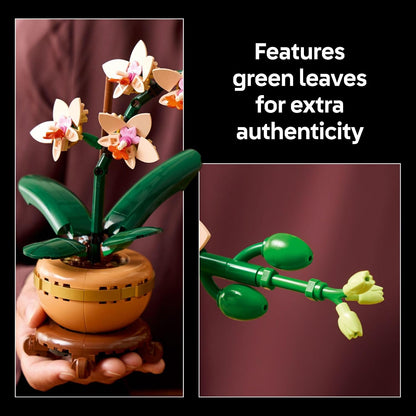 LEGO Botanicals - Juego de construcción de orquídeas pequeñas, arti...