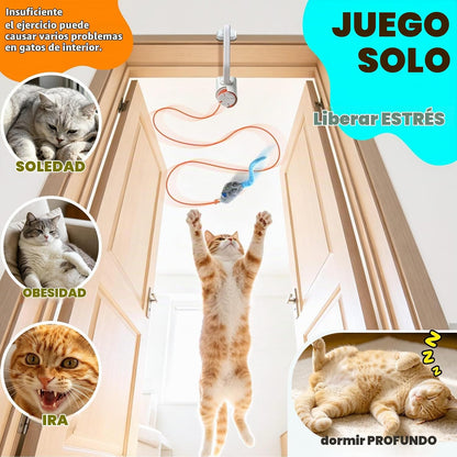 HAPPYCODE Gato interactivo juguete puerta colgante gatito juguetes...