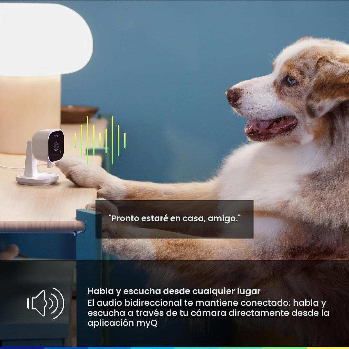 myQ - Cámara de seguridad enchufable para interiores Gen 2 \u2013 C...