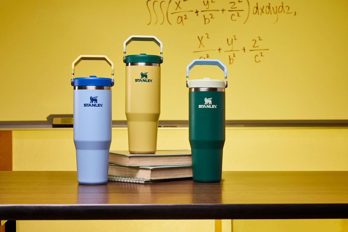 STANLEY IceFlow 2.0 - Vaso con pajita, 20 onzas, color esmeralda na...