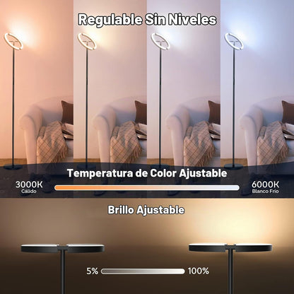 SIBRILLE Lámpara de pie RGBCW, lámpara de pie que cambia de color,...