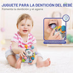 Juguetes para Bebés de 6 a 12 Meses, Juguetes Montessori 5 en 1 par...
