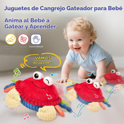 hahaland Bebé 6+ Meses Tiempo Boca Abajo Juguete Musical para Gatea...