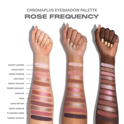 Morphe ChromaPlus Paleta de sombras de ojos de 12 bandejas, maquill...