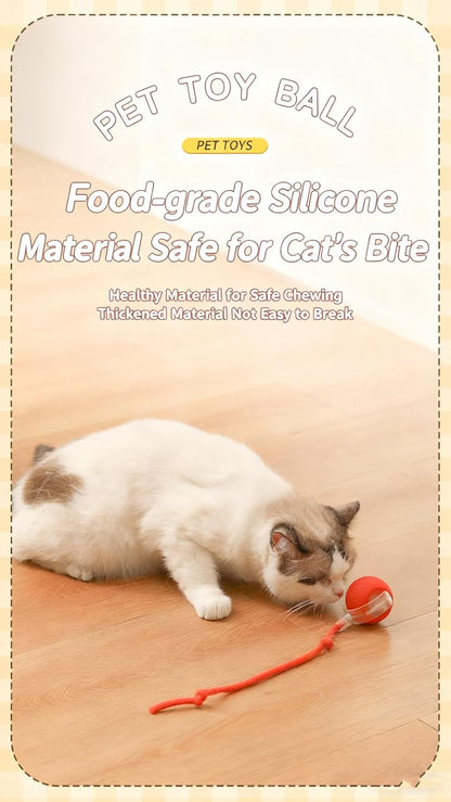 RightBliss Juguete automático de bola rodante para gatos y perros....