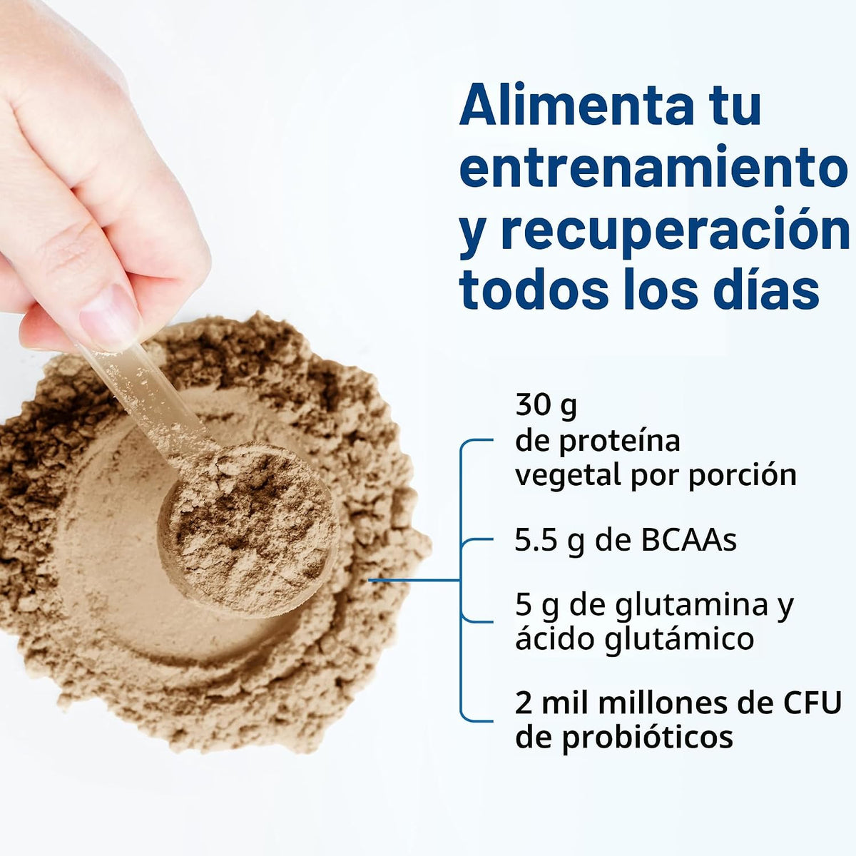 Garden of Life Polvo de proteína vegana orgánica deportiva, chocola...