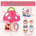 hahaland Juguetes Montessori para bebés de 6 a 12 meses - 6, 7, 8,...