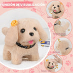 16 piezas de juguetes para perros robot para niñas, juguetes para n...