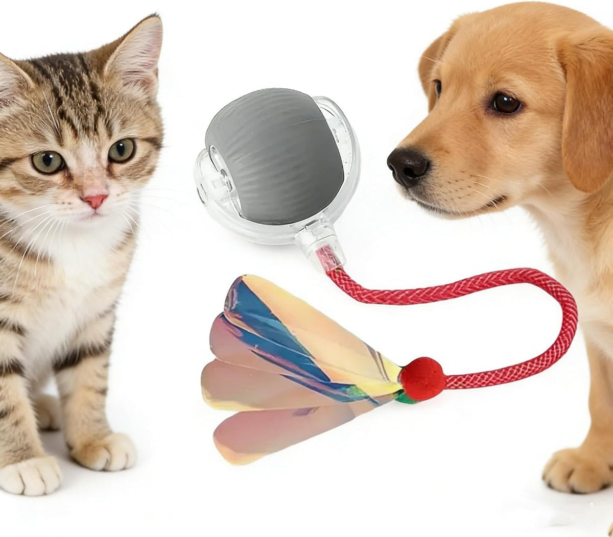 RightBliss Juguete automático de bola rodante para gatos y perros....