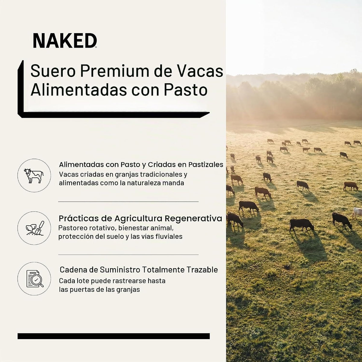 Proteína en polvo de mantequilla de maní y chocolate NAKED Whey, su...