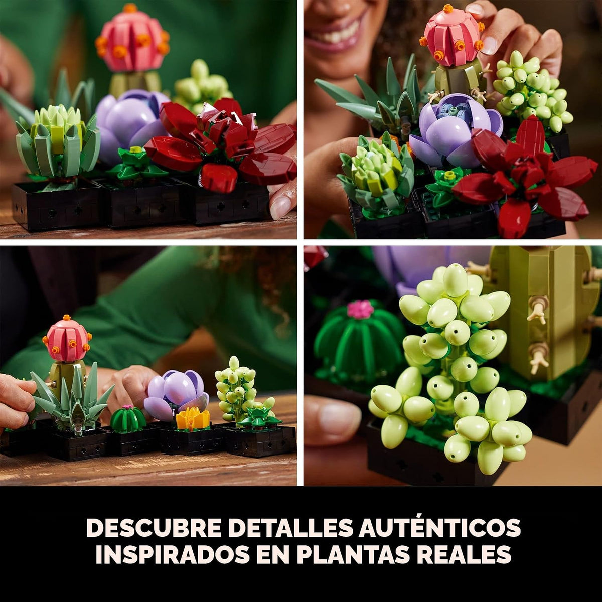 LEGO Suculentas Botánicas 10309 | Regalo de regreso a clases para e...