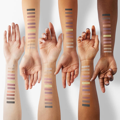 Paleta esencial de Anastasia Beverly Hills - Mates y metálicos | 12...