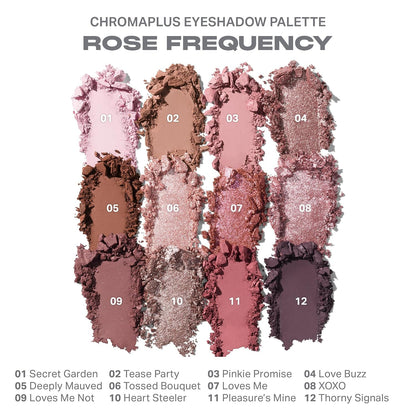 Morphe ChromaPlus Paleta de sombras de ojos de 12 bandejas, maquill...