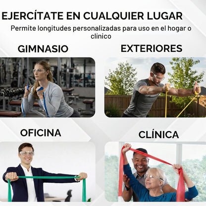 Theraband Professional Bandas de Resistencia de látex para ejercici...