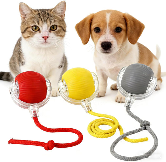 RightBliss Juguete automático de bola rodante para gatos y perros....