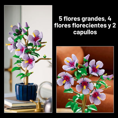 LEGO Botanicals - Juego de construcción de flores de hibisco, bloqu...