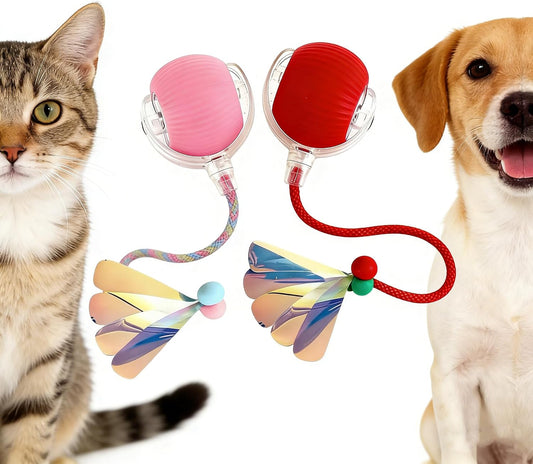 RightBliss Juguete automático de bola rodante para gatos y perros....