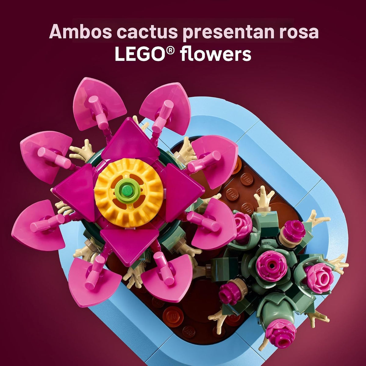 LEGO Botanicals Cactus Floración 11509 | Juguetes de construcción p...