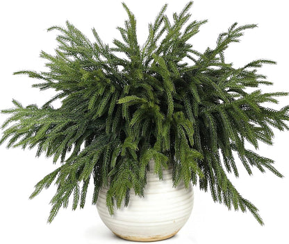 40 ramas de pino Norfolk artificiales de 18 pulgadas para Navidad |...