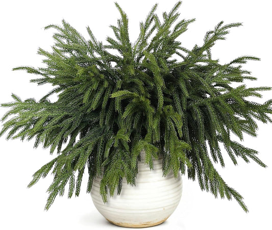 40 ramas de pino Norfolk artificiales de 18 pulgadas para Navidad |...