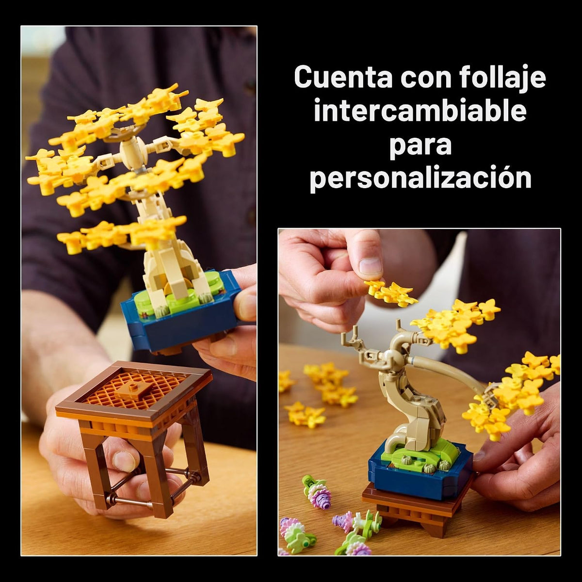LEGO Botanicals Mini Bonsai Trees 10373 | Regalo de regreso a clase...