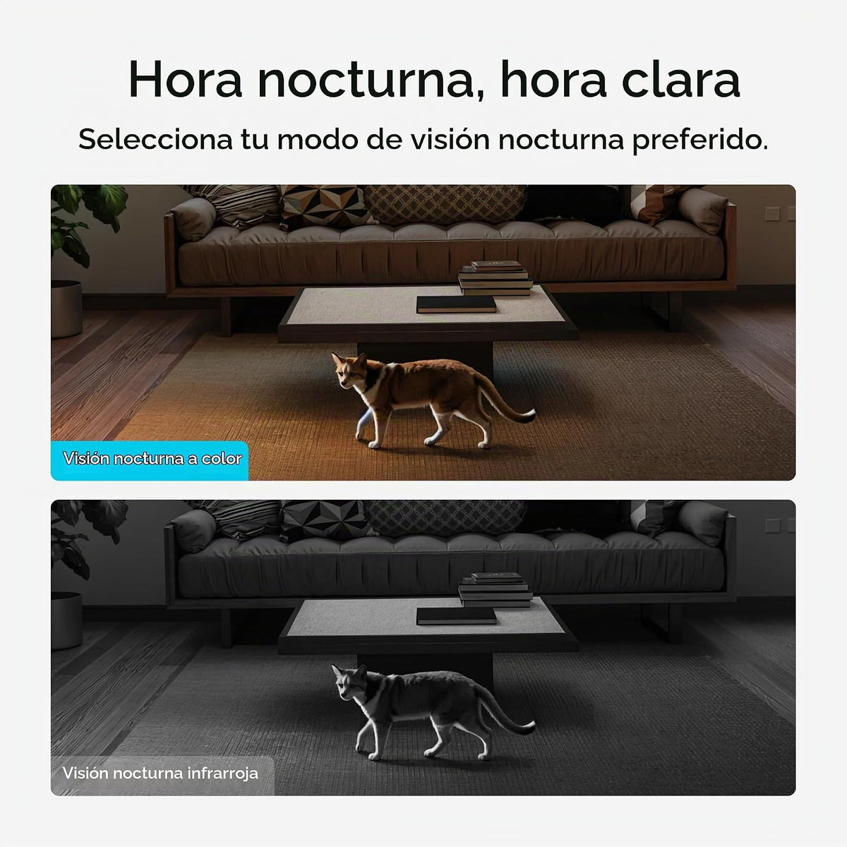 eufy Security Cámara interior 4K E30, panorámica e inclinación | Vi...