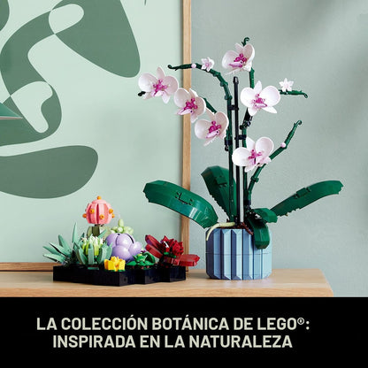 LEGO Suculentas Botánicas 10309 | Regalo de regreso a clases para e...