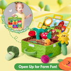 hahaland Juguetes para bebés de 6 a 12 meses - Frutas Verduras Jard...