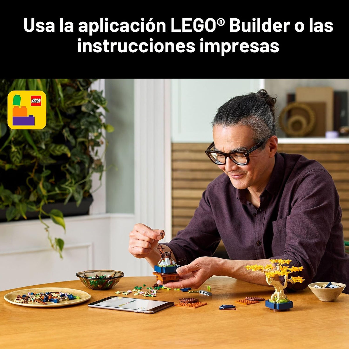 LEGO Botanicals Mini Bonsai Trees 10373 | Regalo de regreso a clase...