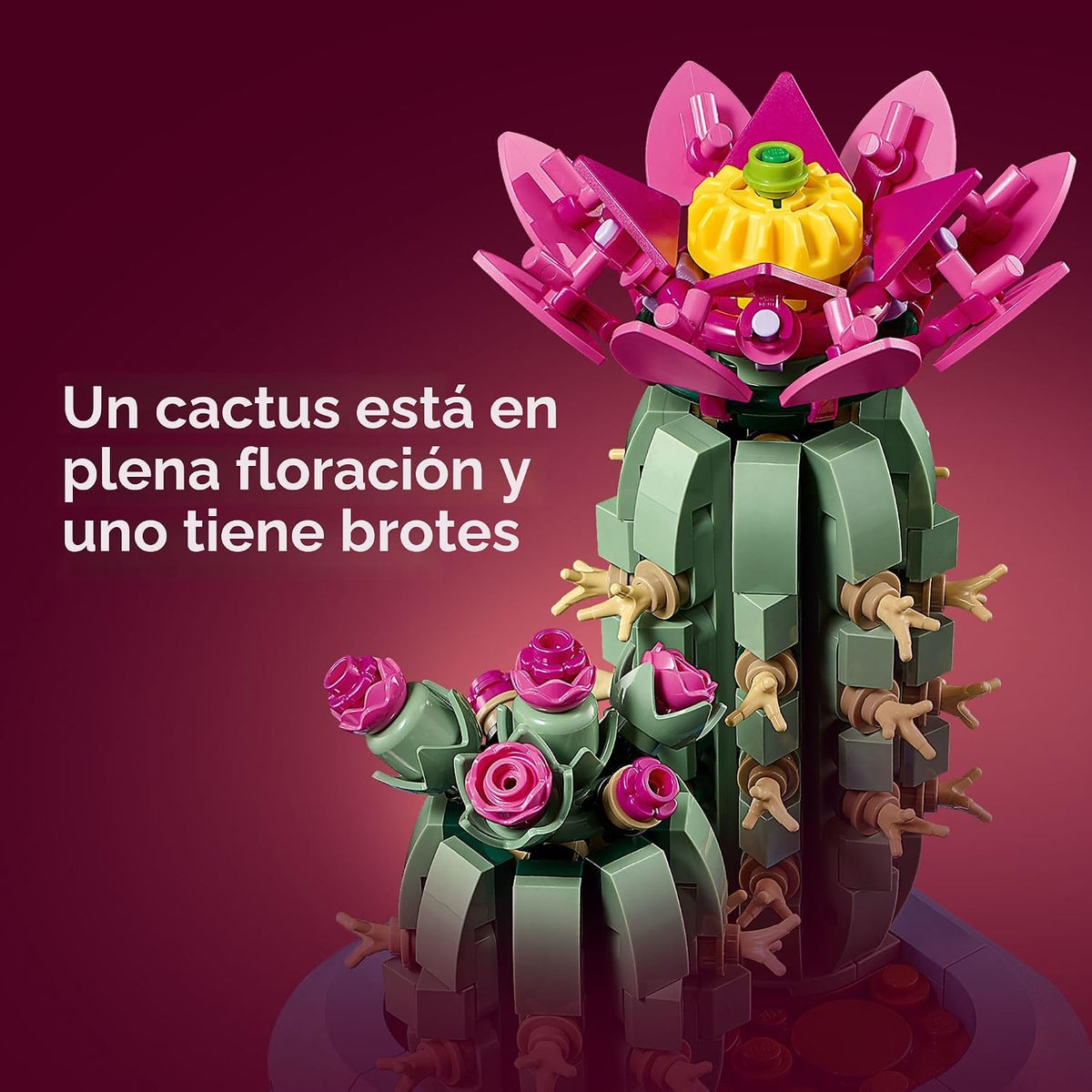 LEGO Botanicals Cactus Floración 11509 | Juguetes de construcción p...