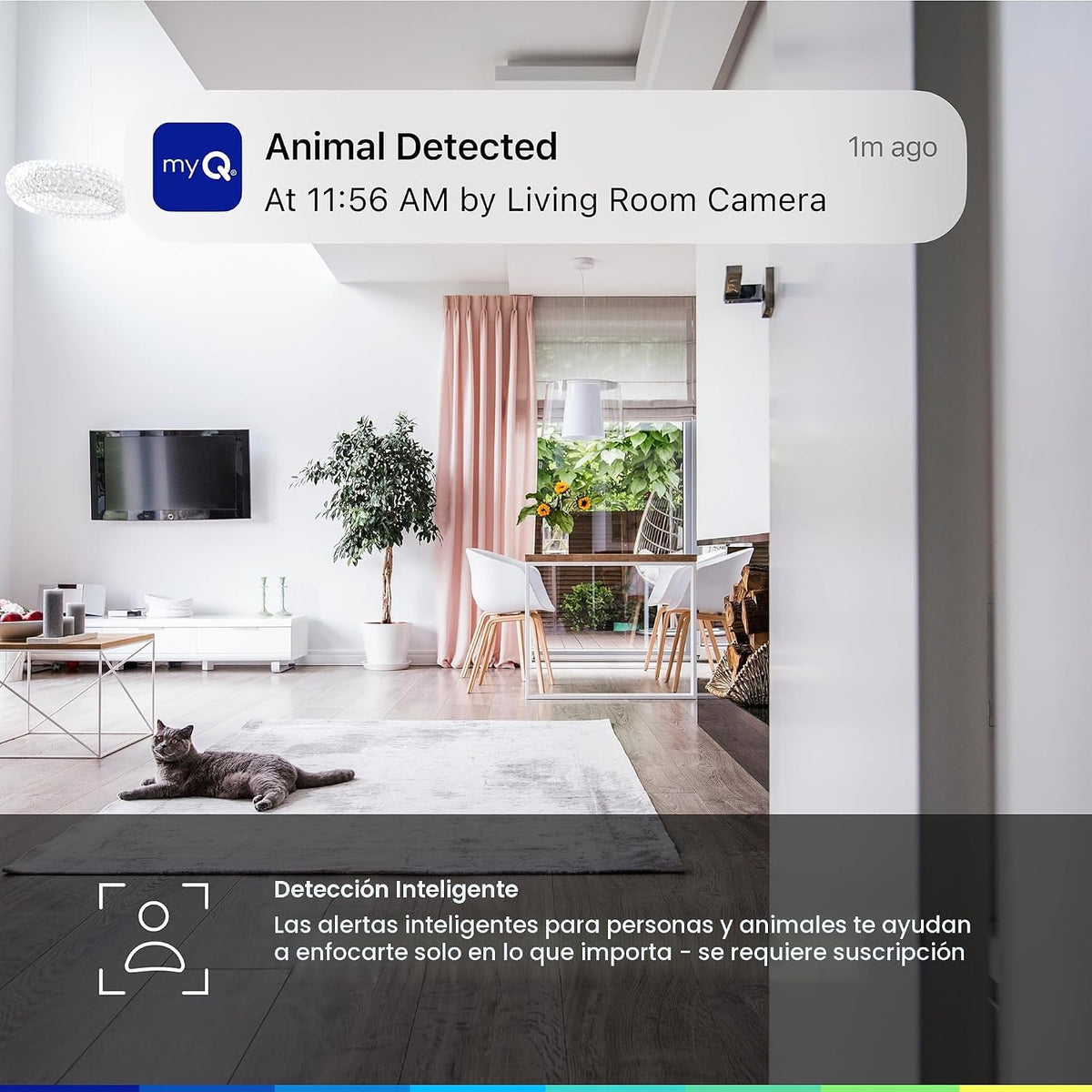 myQ - Cámara de seguridad enchufable para interiores Gen 2 \u2013 C...