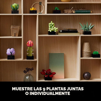 LEGO Suculentas Botánicas 10309 | Regalo de regreso a clases para e...