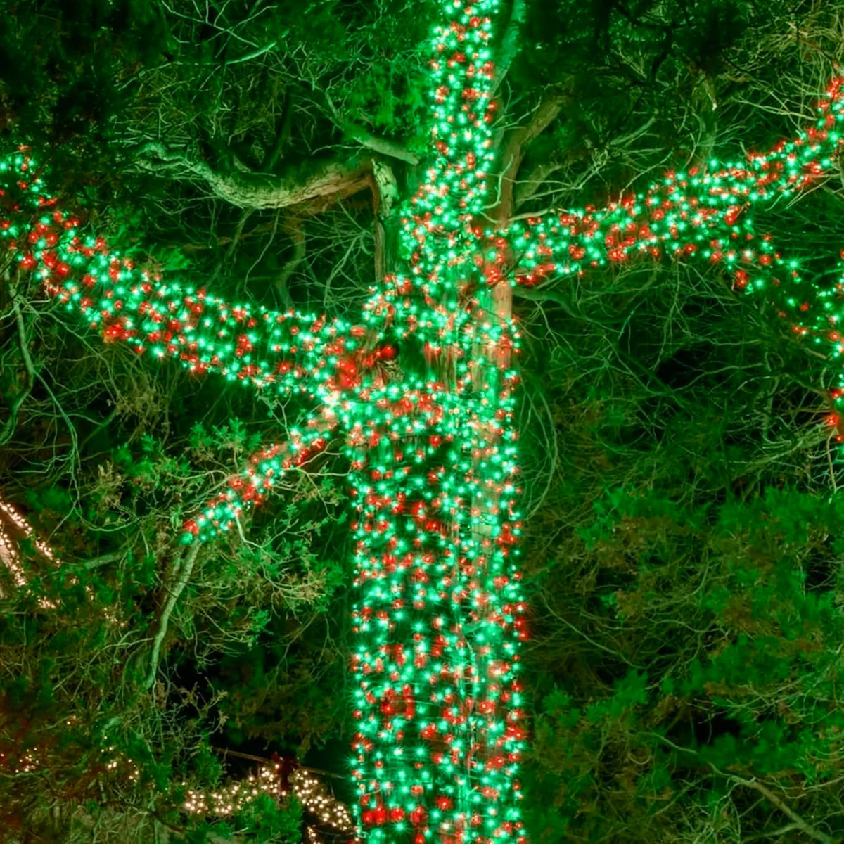 Tira de luces de Navidad extensibles de 75.8 pies con 200 luces LED...