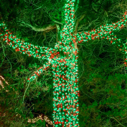 Tira de luces de Navidad extensibles de 75.8 pies con 200 luces LED...