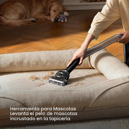 Eureka Aspiradoras verticales para el hogar, PowerSpeed Anti-Tangle...