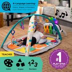 Baby Einstein Kickin Tunes - Paquete 5 en 1, gimnasio de descubrimi...